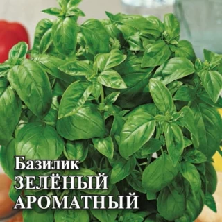 img-1: Базилик Зеленый Ароматный - ООО «Семена Тут»