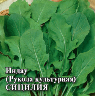 img-2: Индау Сицилия - ООО «Семена Тут»