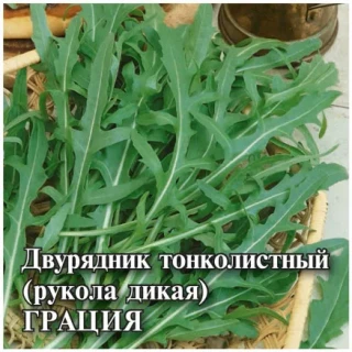 img-1: Рукола дикая Грация - ООО «Семена Тут»