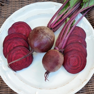 Свекла Фалькон F1 [фракция 3,2-3,6 мм] - ООО «Семена Тут»
