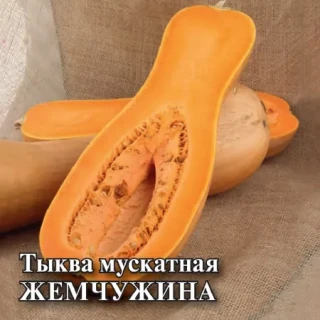 img-0: Тыква Жемчужина - ООО «Семена Тут»