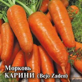 img-1: Морковь Карини - ООО «Семена Тут»