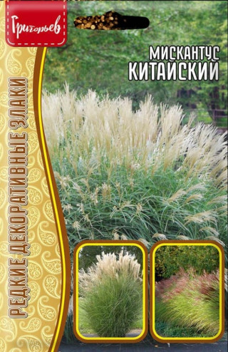 img-1: Мискантус Китайский [5 х 0,1 гр] - ООО «Семена Тут»