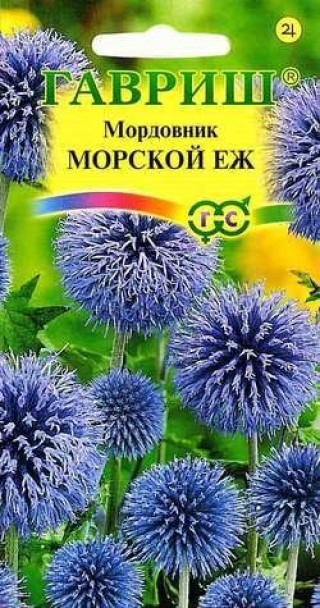 img-1: Мордовник обыкновенный Морской Еж [0,1 гр] - ООО «Семена Тут»