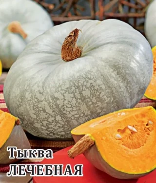img-1: Тыква Лечебная - ООО «Семена Тут»