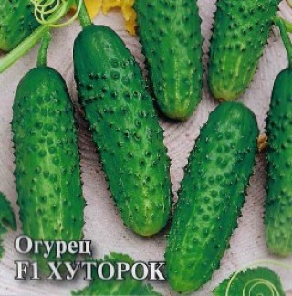 Огурец Хуторок F1 - ООО «Семена Тут»