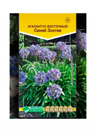 img-1: Агапантус восточный Синий зонтик - ООО «Семена Тут»
