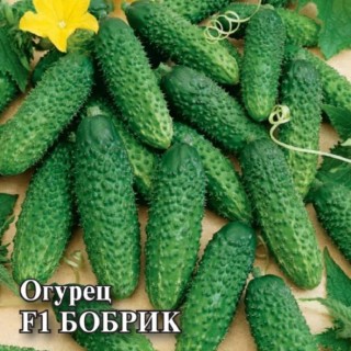 Огурец Бобрик F1 - ООО «Семена Тут»