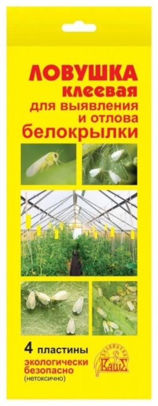 Ловушка клеевая для выявления и отлова белокрылки (уп.4 пластины) - ООО «Семена Тут»