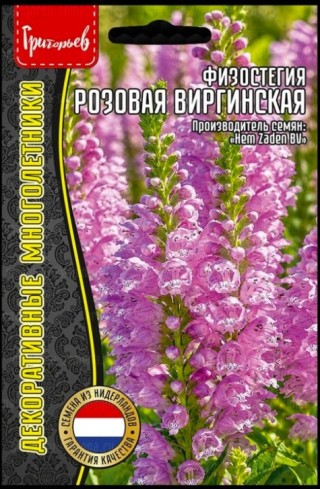 img-1: Физостегия розовая [5*0,05 гр] - ООО «Семена Тут»