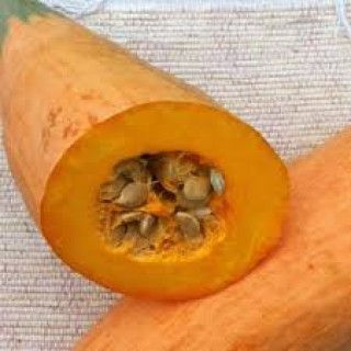 img-1: Тыква крупноплодная Розовый Банан - ООО «Семена Тут»