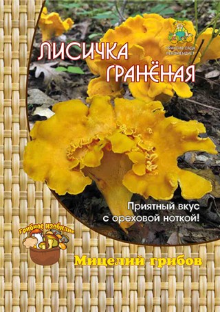 img-1: Лисичка граненая (60 мл.) - ООО «Семена Тут»