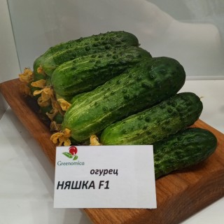 img-1: Огурец Няшка F1 - ООО «Семена Тут»