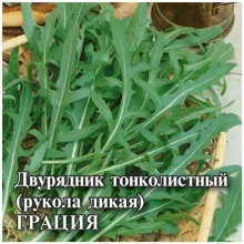 img-1: Рукола дикая Грация - ООО «Семена Тут»