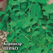 img-1: Кориандр Шико - ООО «Семена Тут»