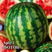 img-1: Арбуз Фотон - ООО «Семена Тут»
