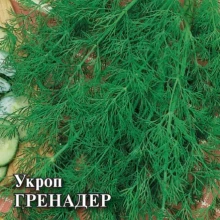 img-1: Укроп Гренадер - ООО «Семена Тут»