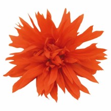 img-1: Бегония Фанки Оранж [100 драже] - ООО «Семена Тут»