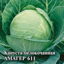 img-1: Капуста белокочанная Амагер - ООО «Семена Тут»
