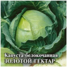 img-1: Капуста белокочанная Золотой гектар 1432 - ООО «Семена Тут»