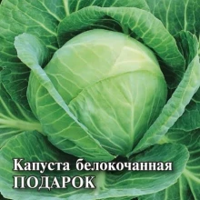 img-1: Капуста белокочанная Подарок - ООО «Семена Тут»