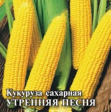 Кукуруза Утренняя песня - ООО «Семена Тут»