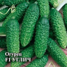 Огурец Углич F1 - ООО «Семена Тут»