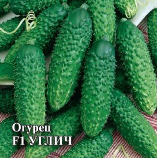 Огурец Углич F1 - ООО «Семена Тут»
