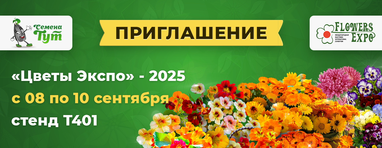 optom.semena tut.ru